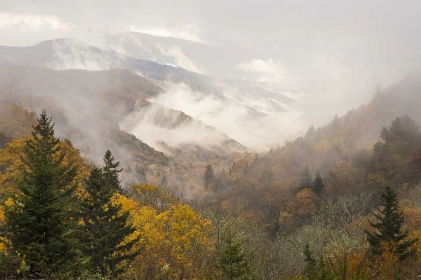 North Carolina, Great Smoky Mts Autumn landscape